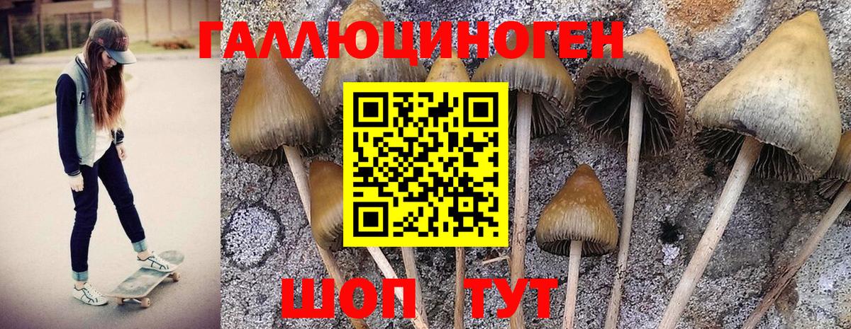 Alpha PVP Курчатов